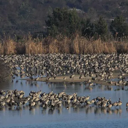 Hébergement de vacances Commanday Arjuzanx