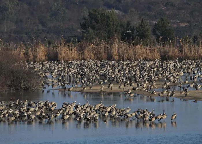 Casa de Férias Commanday Arjuzanx